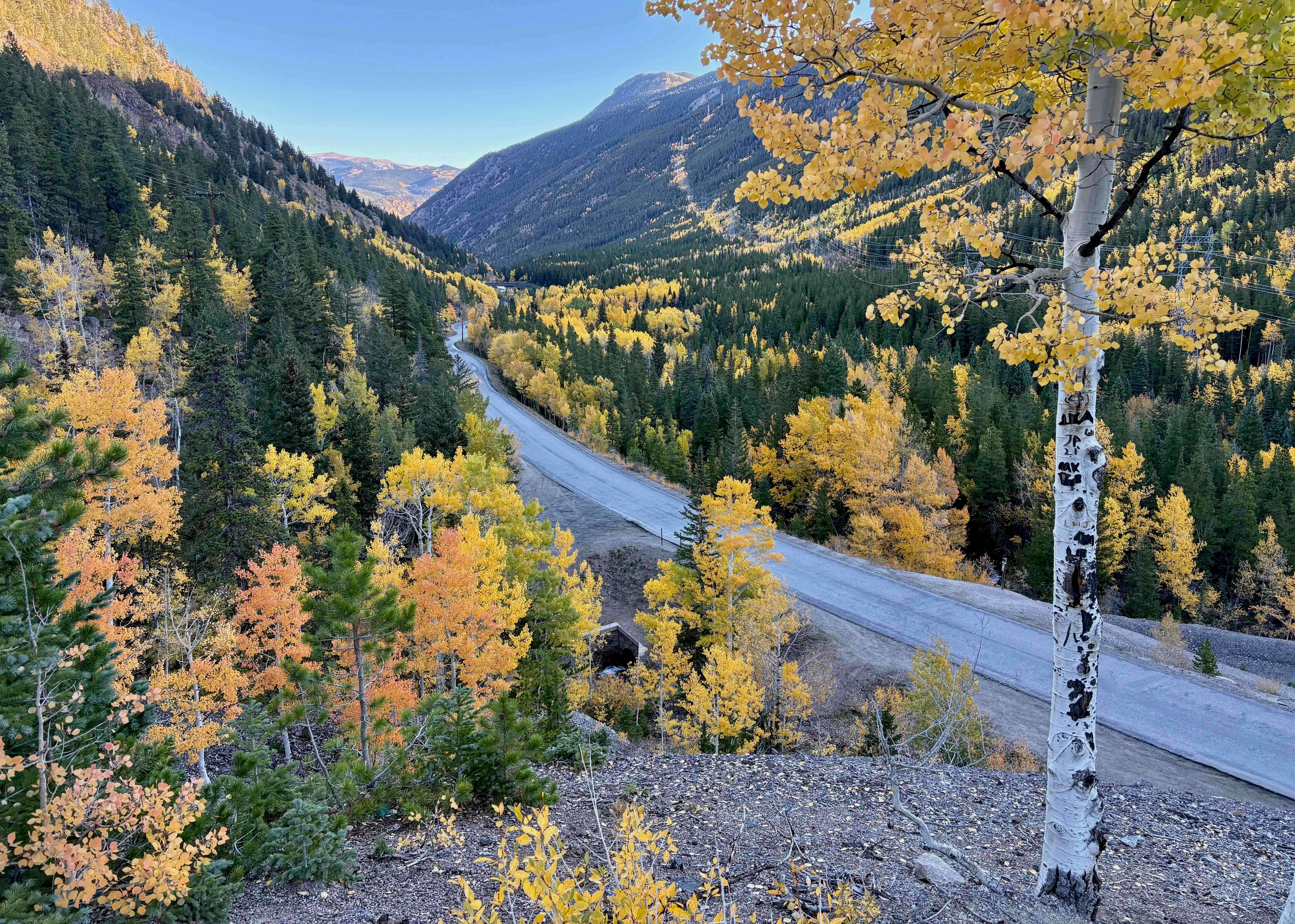 Colorado mountain landscape and road in fall