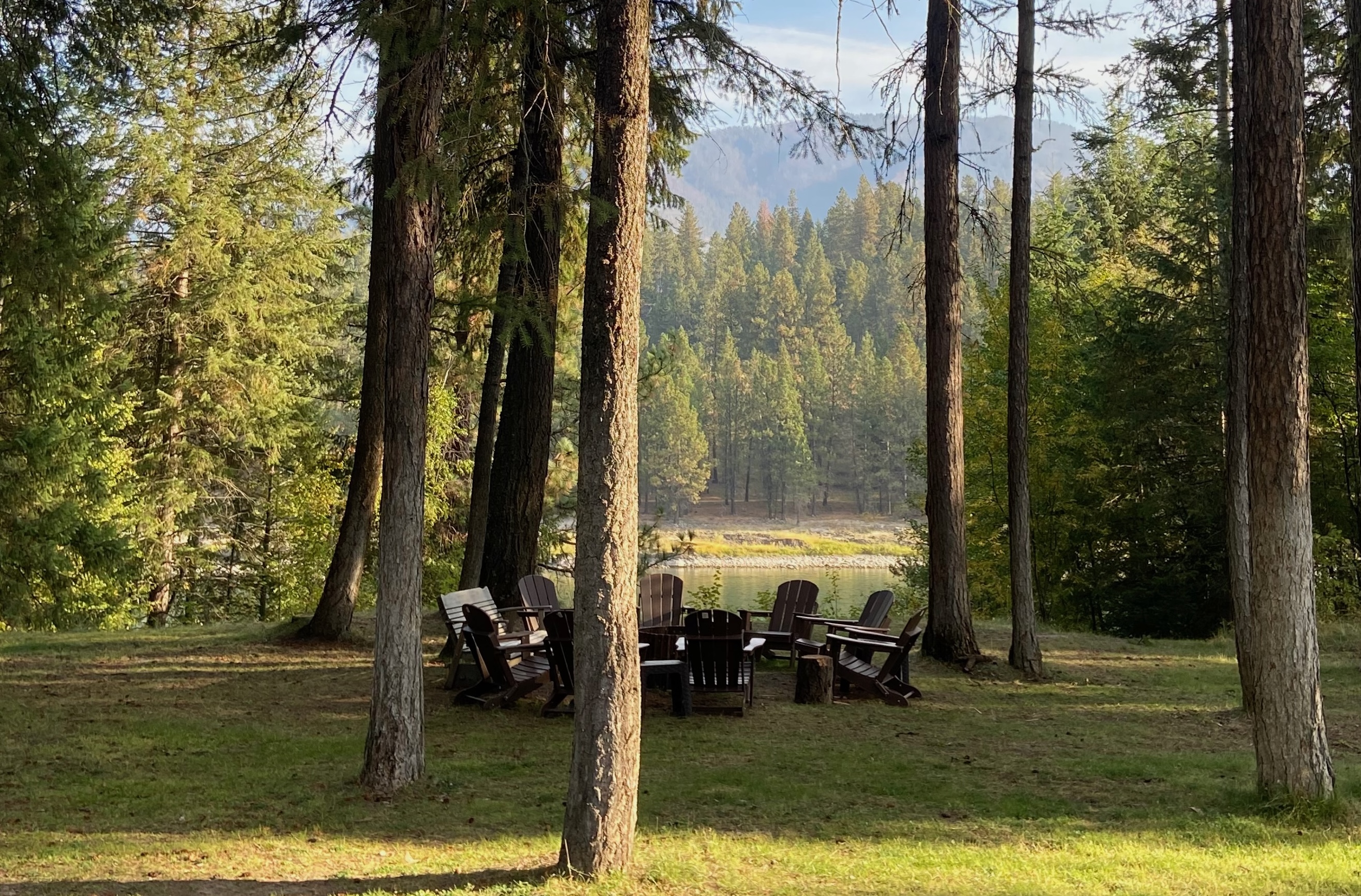 Empty chairs encircled in a wooded area