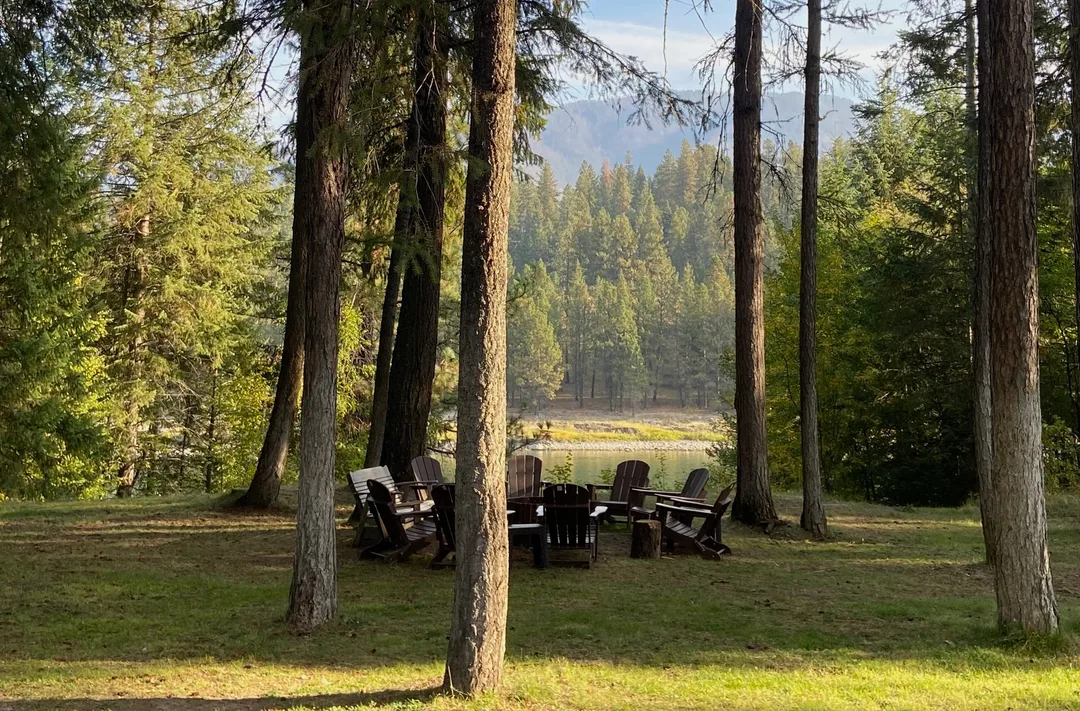 Empty chairs encircled in a wooded area